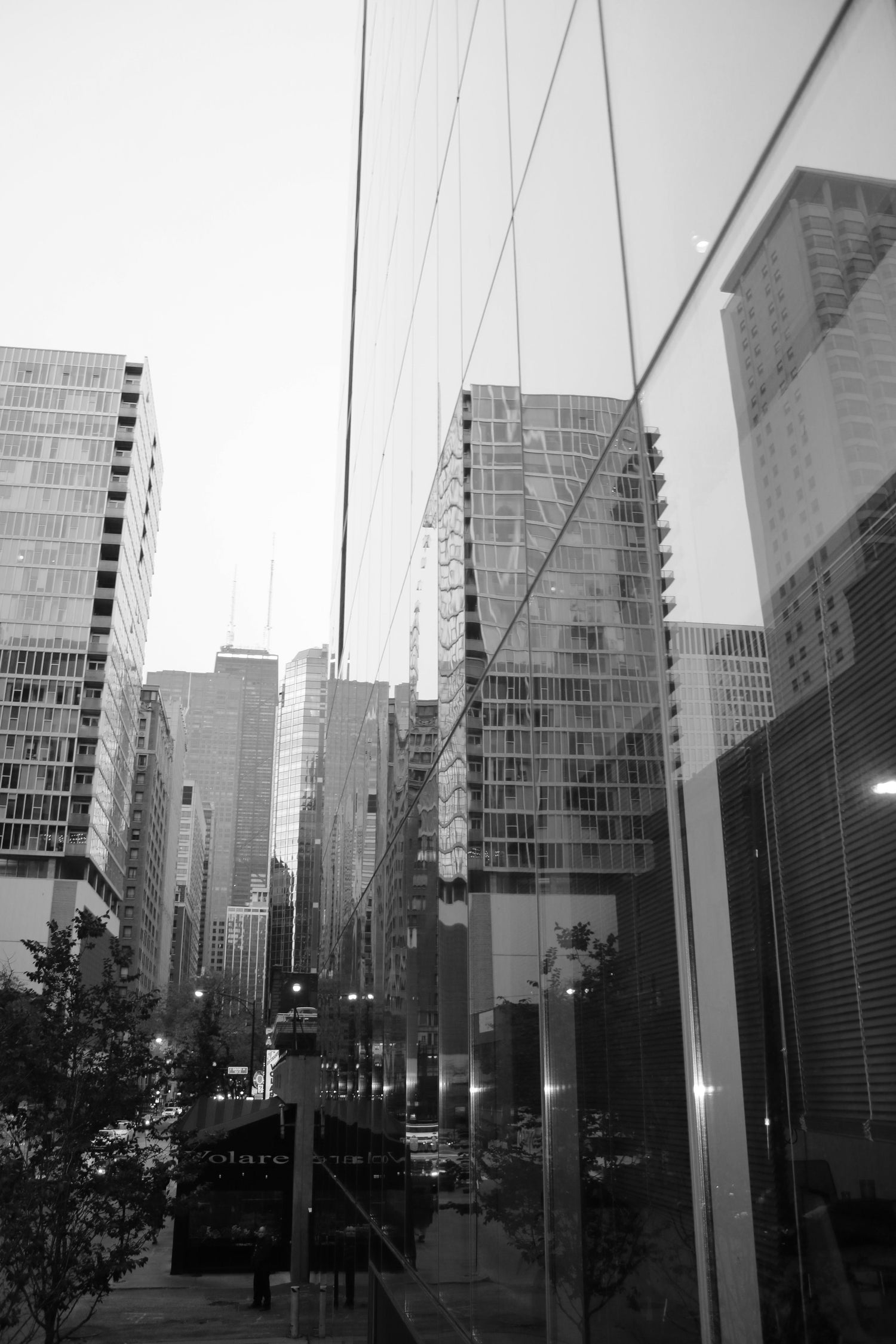 Light & Reflection